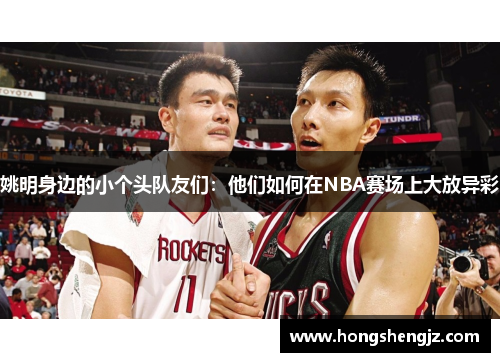 姚明身边的小个头队友们：他们如何在NBA赛场上大放异彩