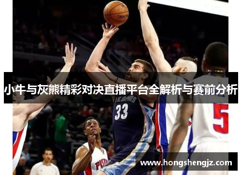 小牛与灰熊精彩对决直播平台全解析与赛前分析